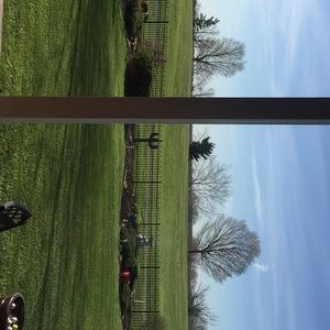 Meet your Posher, Charlotte